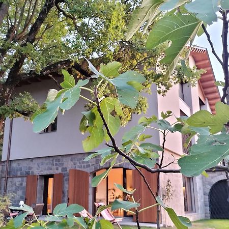 Les Planes de Viladrau Exterior foto