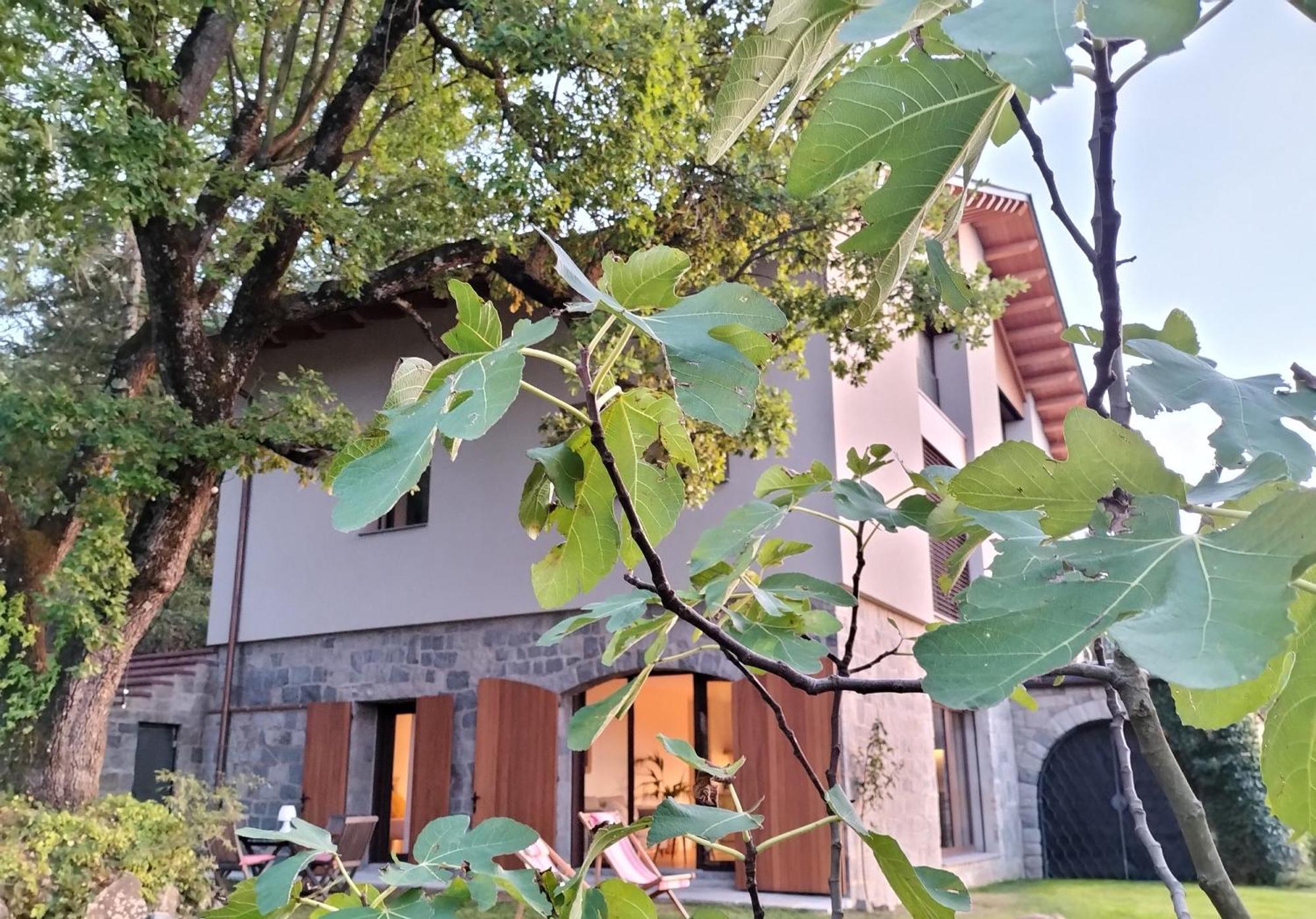 Les Planes de Viladrau Exterior foto